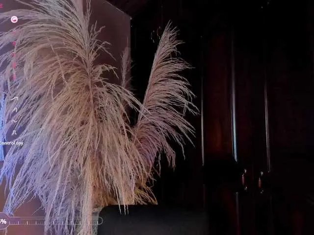 Arianne-ferrer on BongaCams 