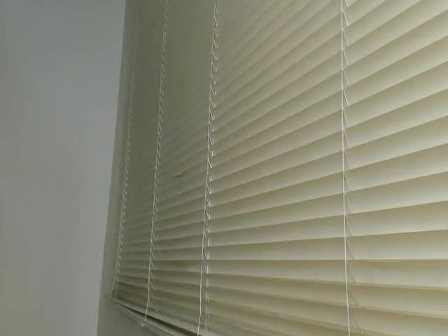 molly-rosse on BongaCams 