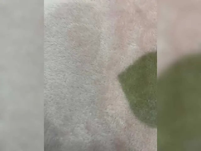 puppy19 on BongaCams 