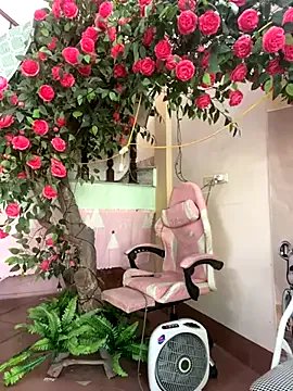 Bollozzy_89 on StripChat 